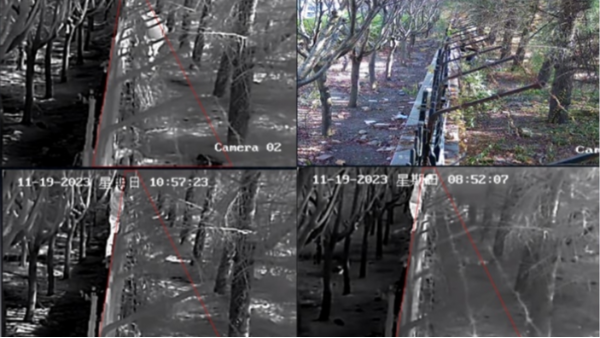 热成像周界应用效果