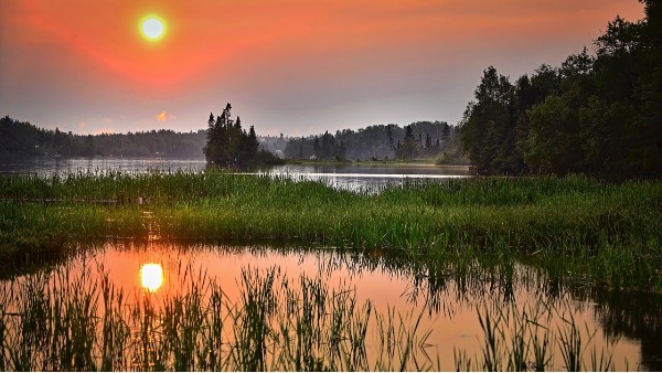 湿地智能视频监控
