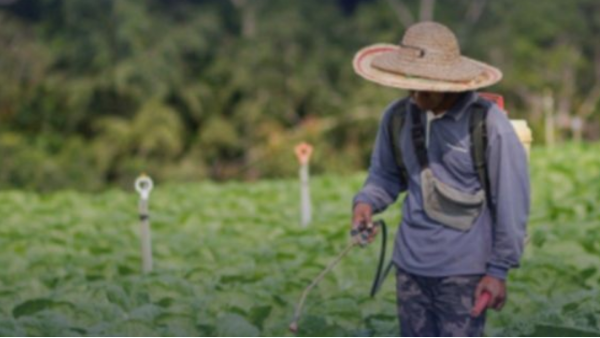 农业场景视频方案