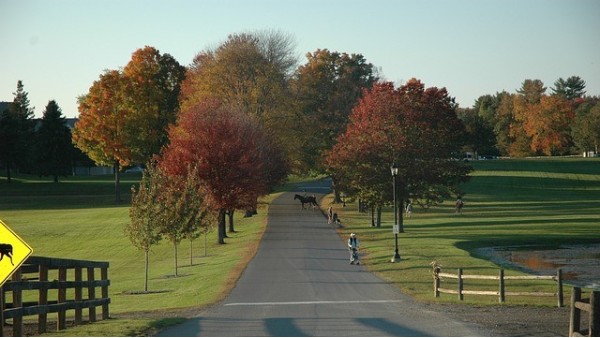 校园车辆违规管控应用