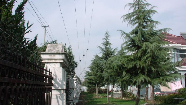 成都电子围栏功能