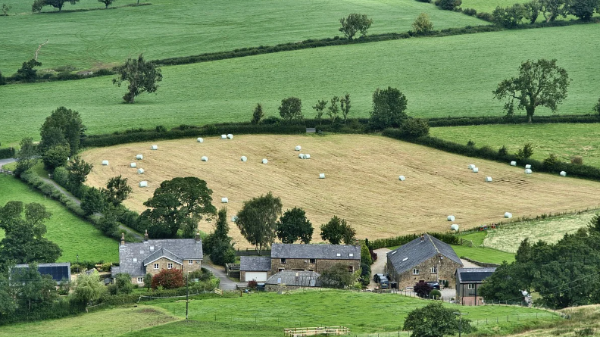 AI开放平台农业场景应用
