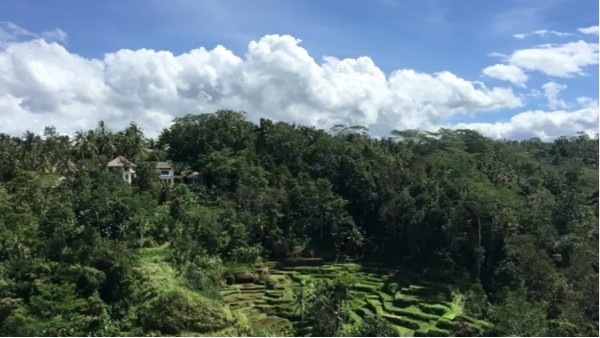 山区高清视频监控