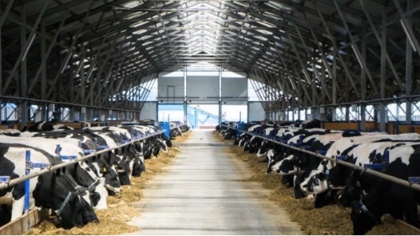 养殖场高清视频监控