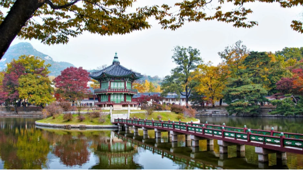 景区AI智能视频监控