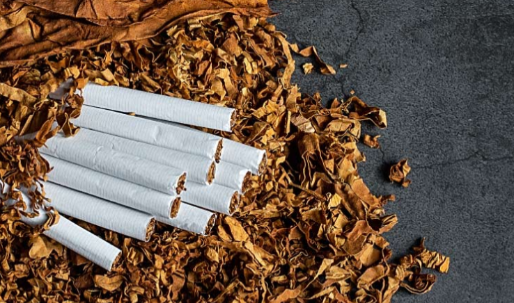 烟草行业应用AI智能视频监控