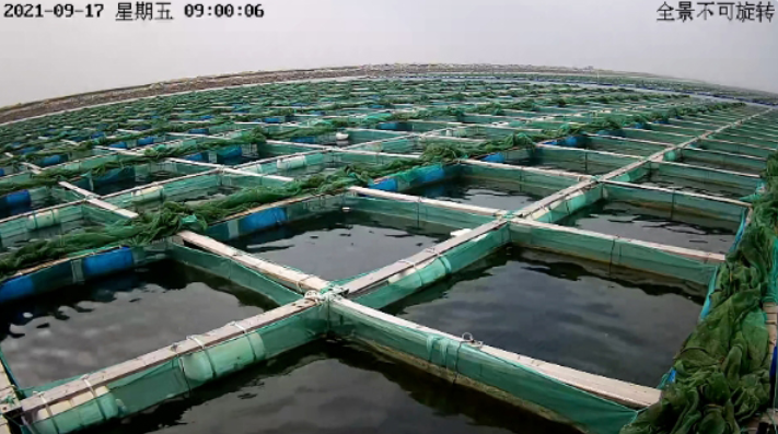 水产养殖视频监控系统