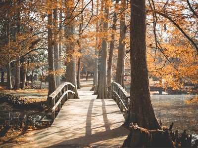 公共区域紧急求助解决方案