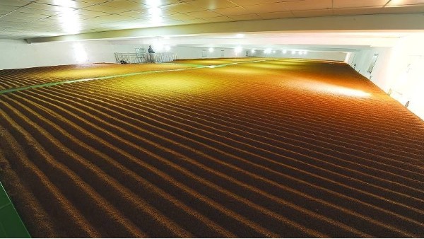 粮仓AI智能视频监控