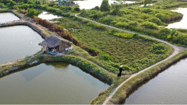 鱼塘智能视频监控