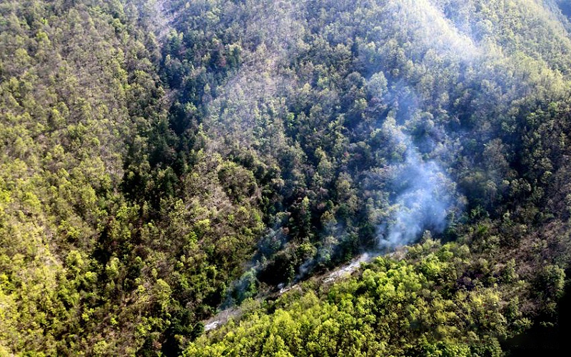 森林防火烟雾监测_成都慧翼