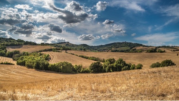 自然资源智慧监管平台