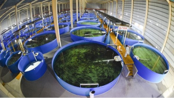 如何提高户外摄像头的防尘效果