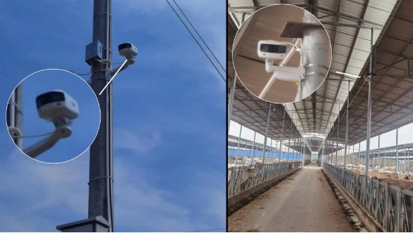 养殖场摄像机应用效果