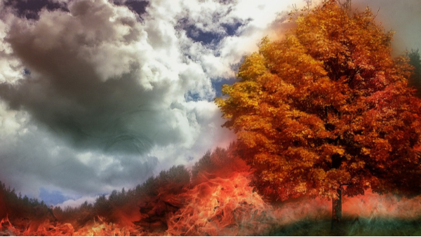 海康威视安消融合管理