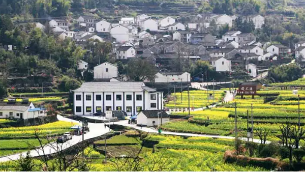 数字乡村监控管理平台