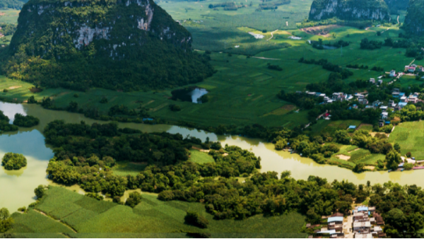 资源环境保护视频监控系统